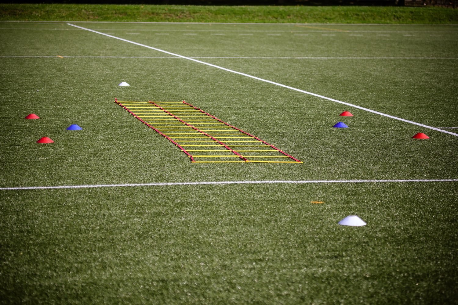 Agility ladder and cone drill setup on a sports field