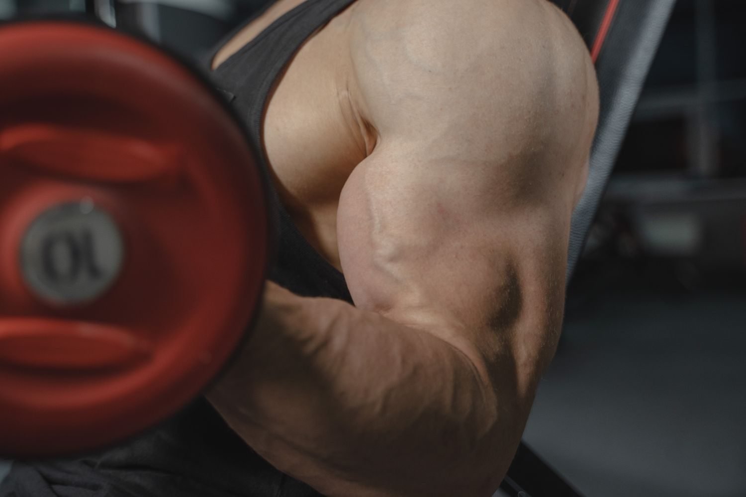 Close-up of a flexed bicep during an EZ-bar curl in the gym