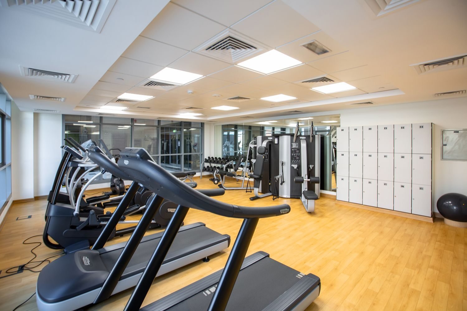 Treadmills and cardio machines lined up in a gym