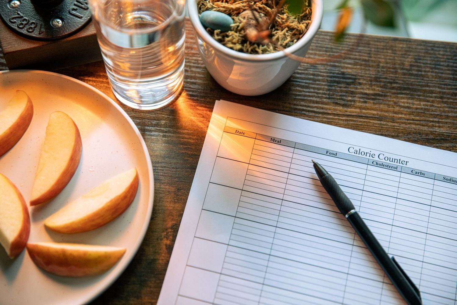 Food and symptom diary notebook next to a healthy balanced meal, showing how to track personal migraine triggers