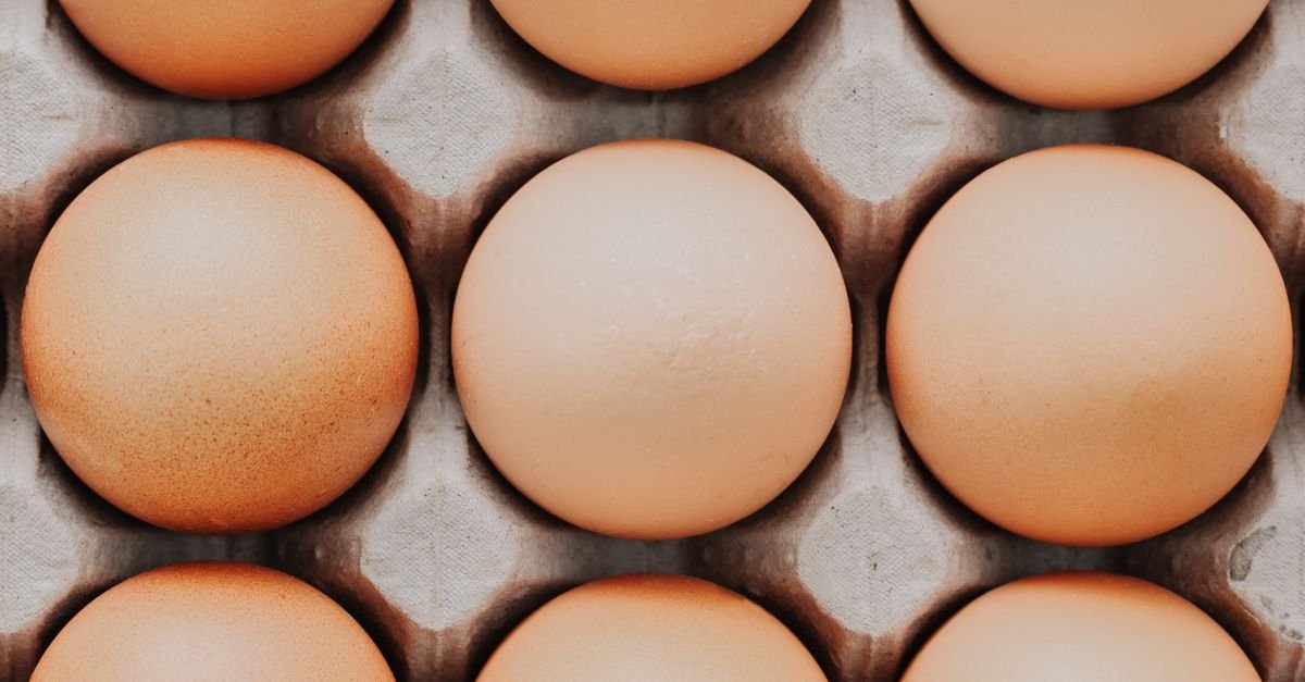 High Protein Diet for Weight Loss