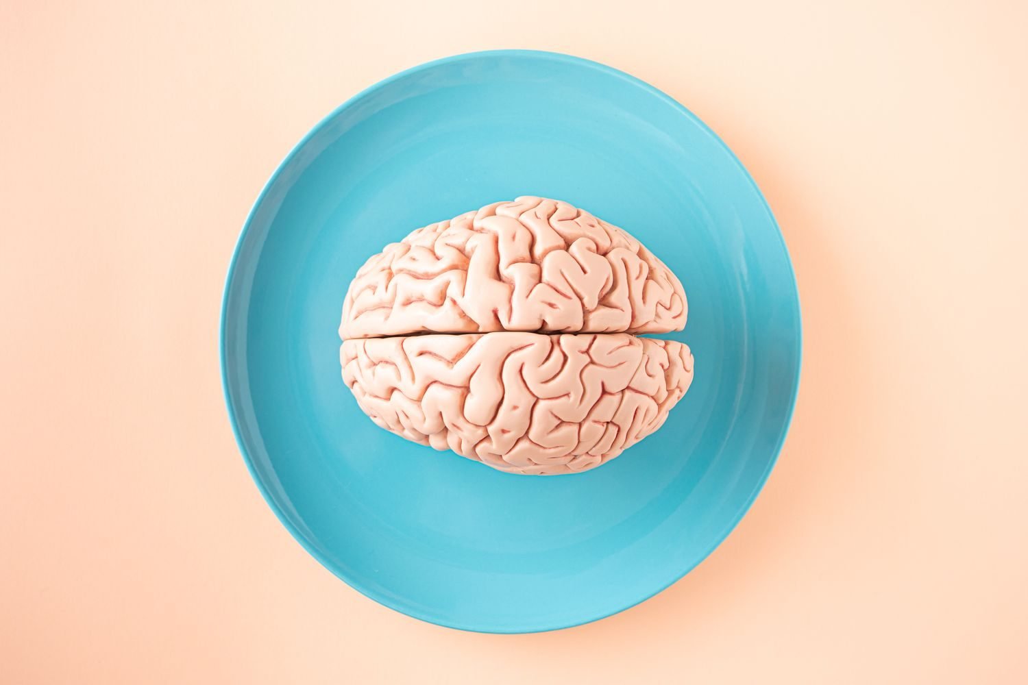 Brain illustration highlighting the dopamine reward pathway activated by eating sugar