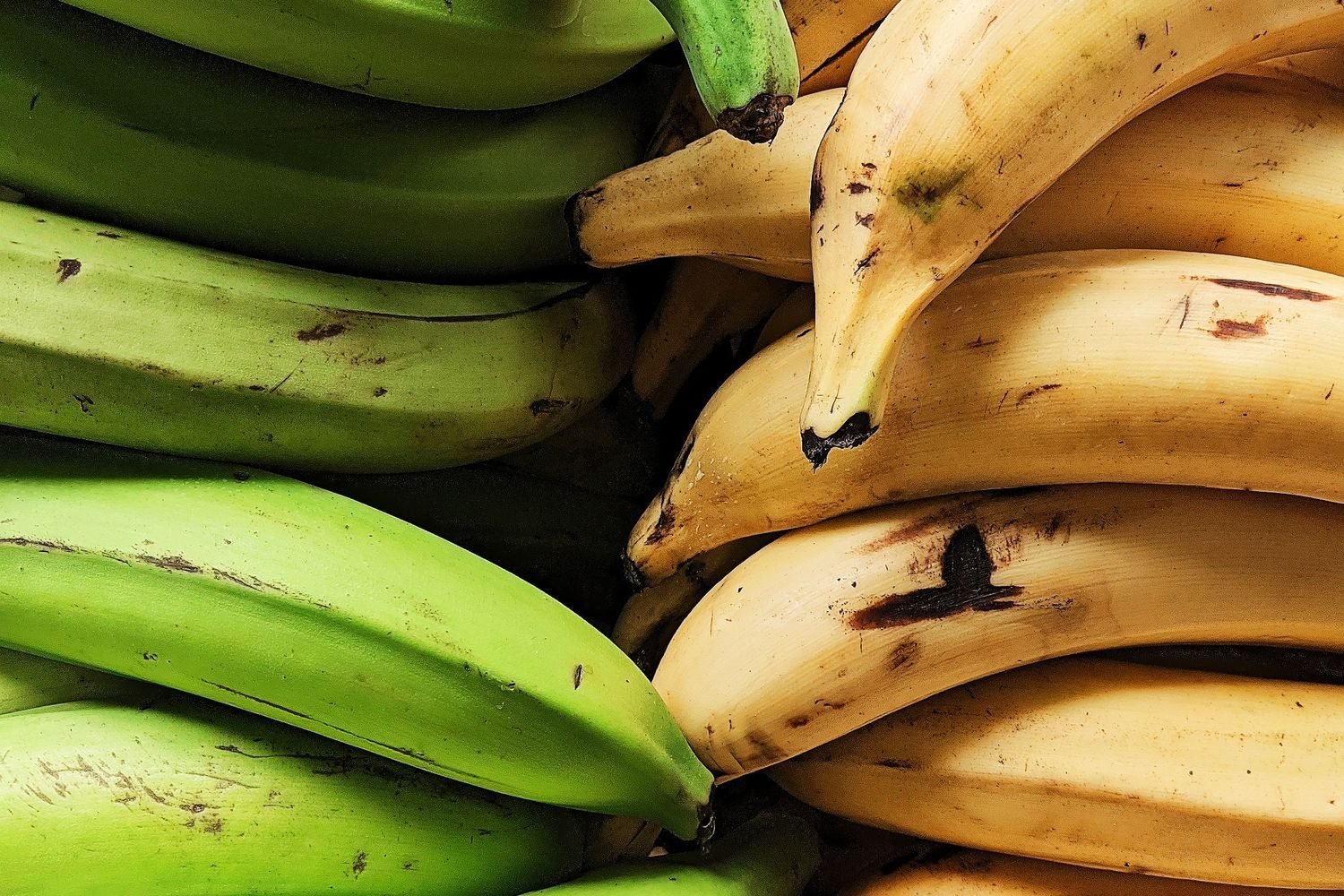 Side-by-side comparison of unripe green bananas and ripe yellow bananas showing glycemic index difference