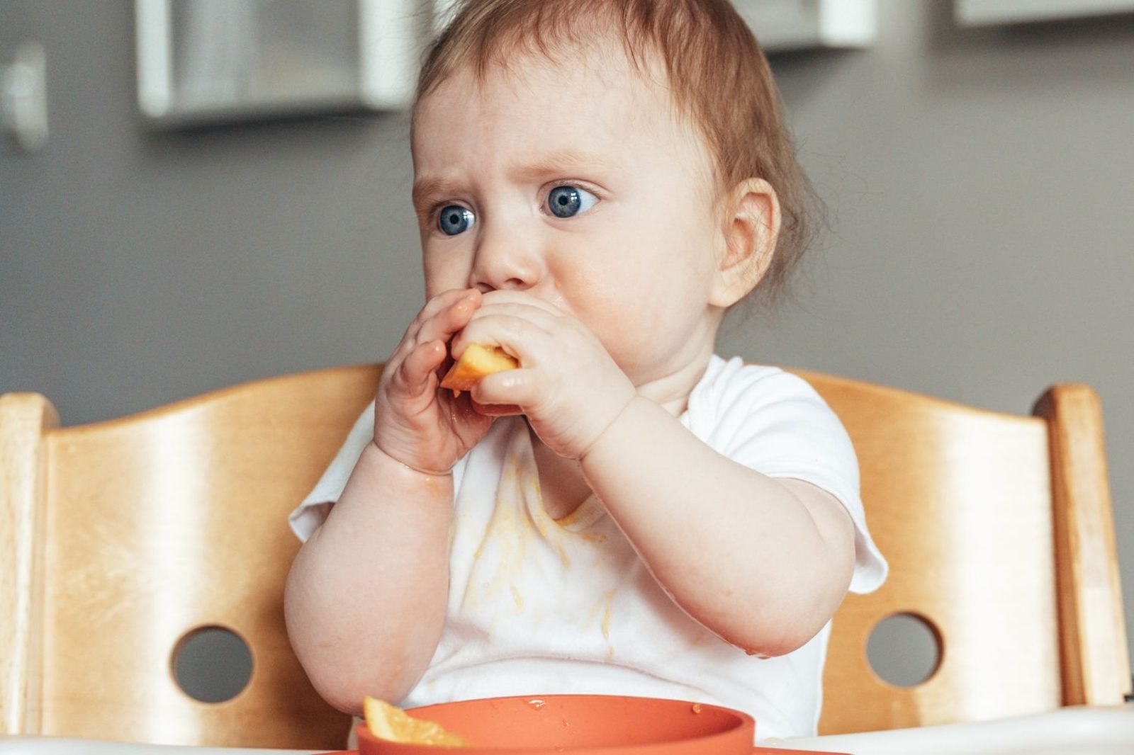 Baby around 8 months old self-feeding soft finger foods at a highchair