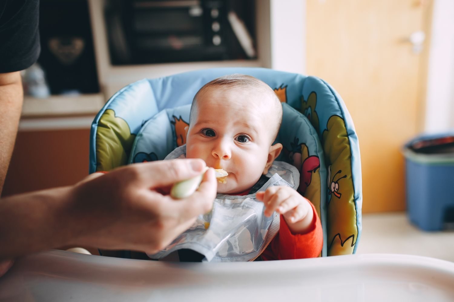 Iron-rich and energy-dense first foods for a 6 month old infant including fortified cereal and pureed meat