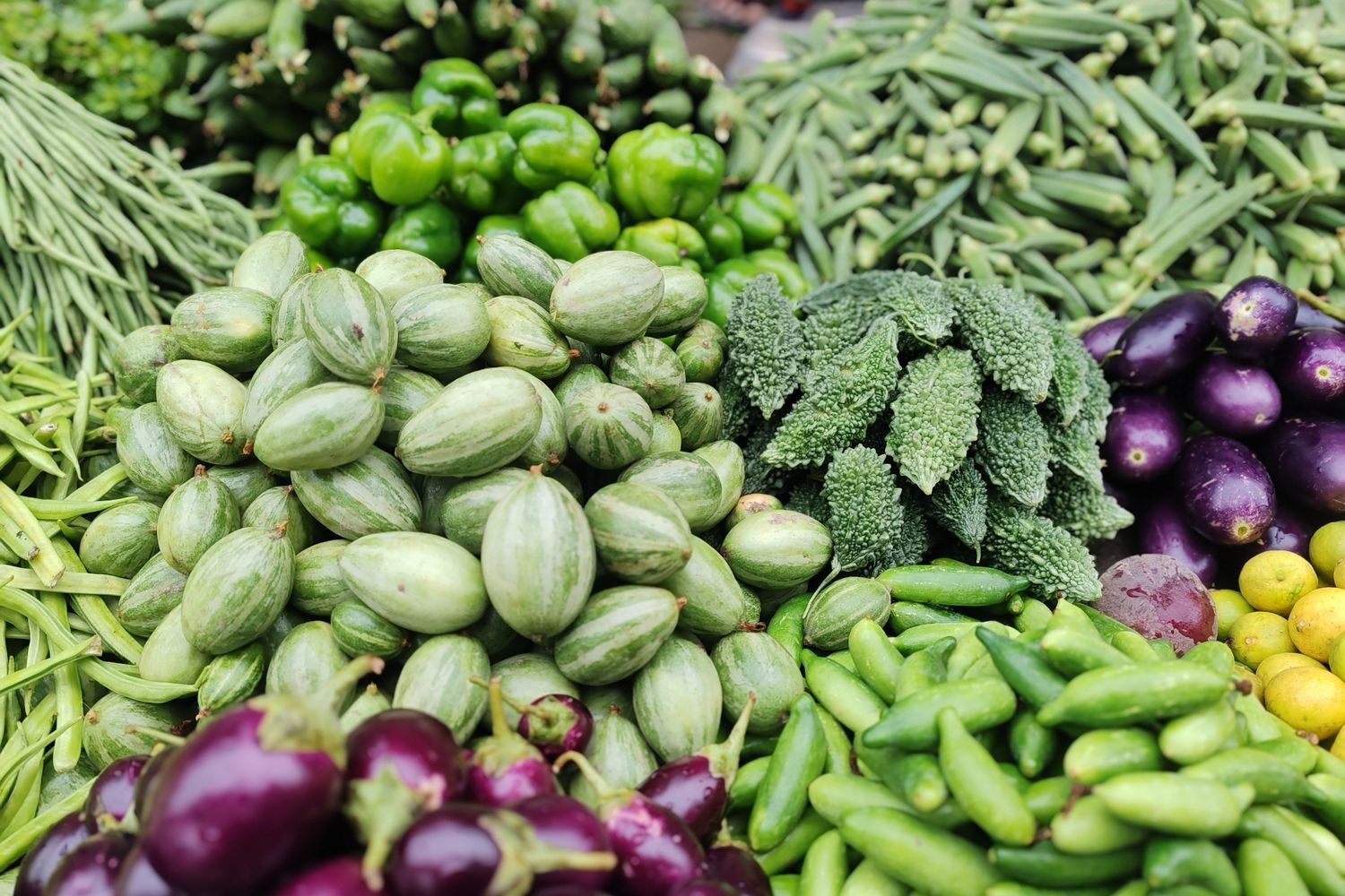 Low-carb Indian vegetables including cauliflower, bottle gourd, cucumber and leafy greens arranged on a wooden table