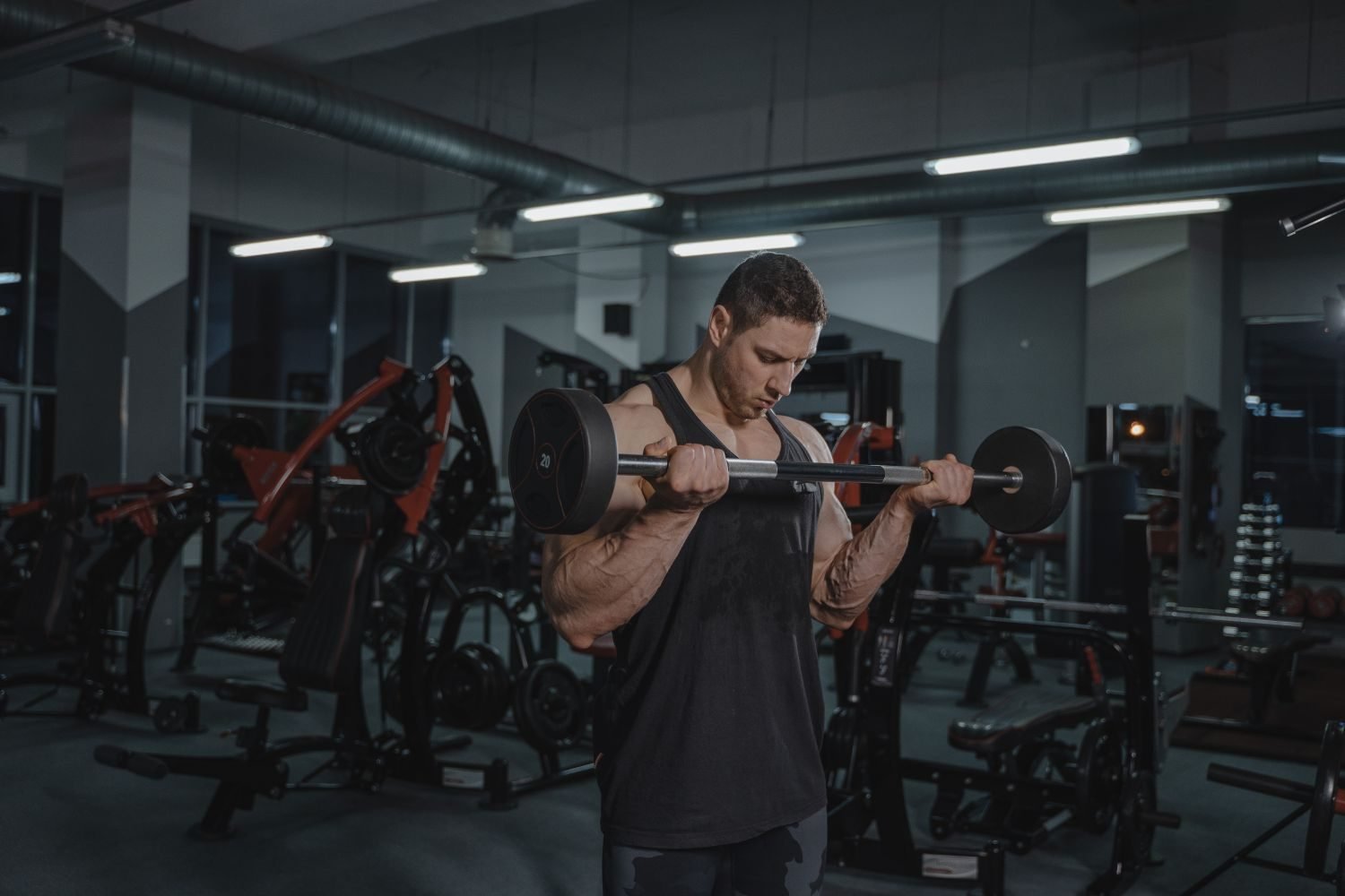Man performing a barbell bicep curl as part of a muscle workout plan in a gym