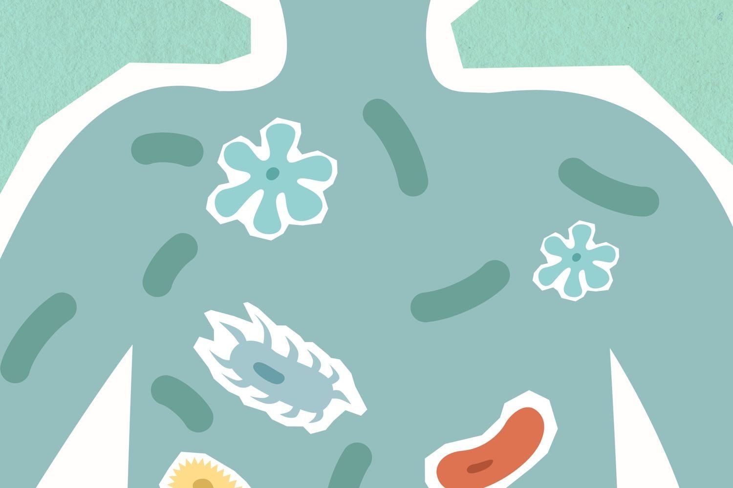 Illustration of diverse gut bacteria and microbiome ecosystem in the human intestine