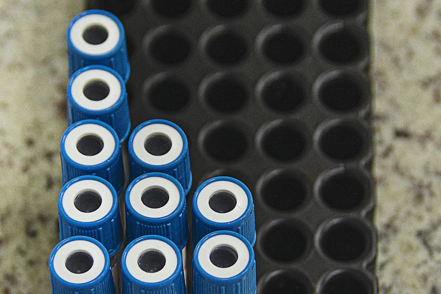 Laboratory blood test tubes labeled for iron, vitamin B12, and folate panel testing
