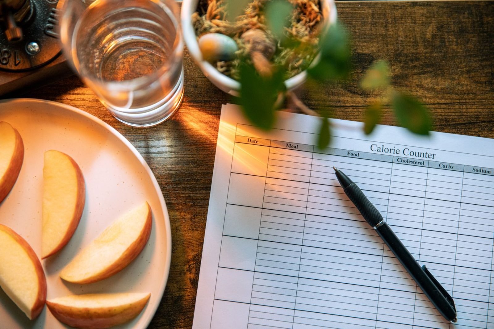 Person tracking meals and nutrient intake in a food journal as part of a self-assessment routine