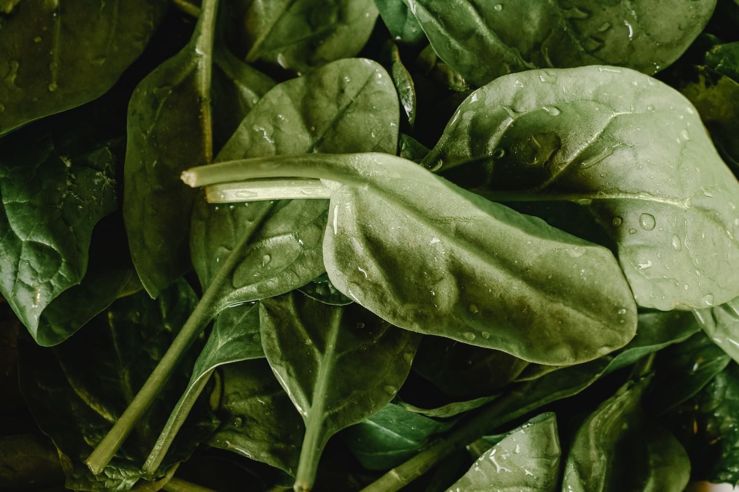Indian iron-rich foods for pregnancy including methi, palak, moringa leaves, dates and chana arranged on a kitchen counter