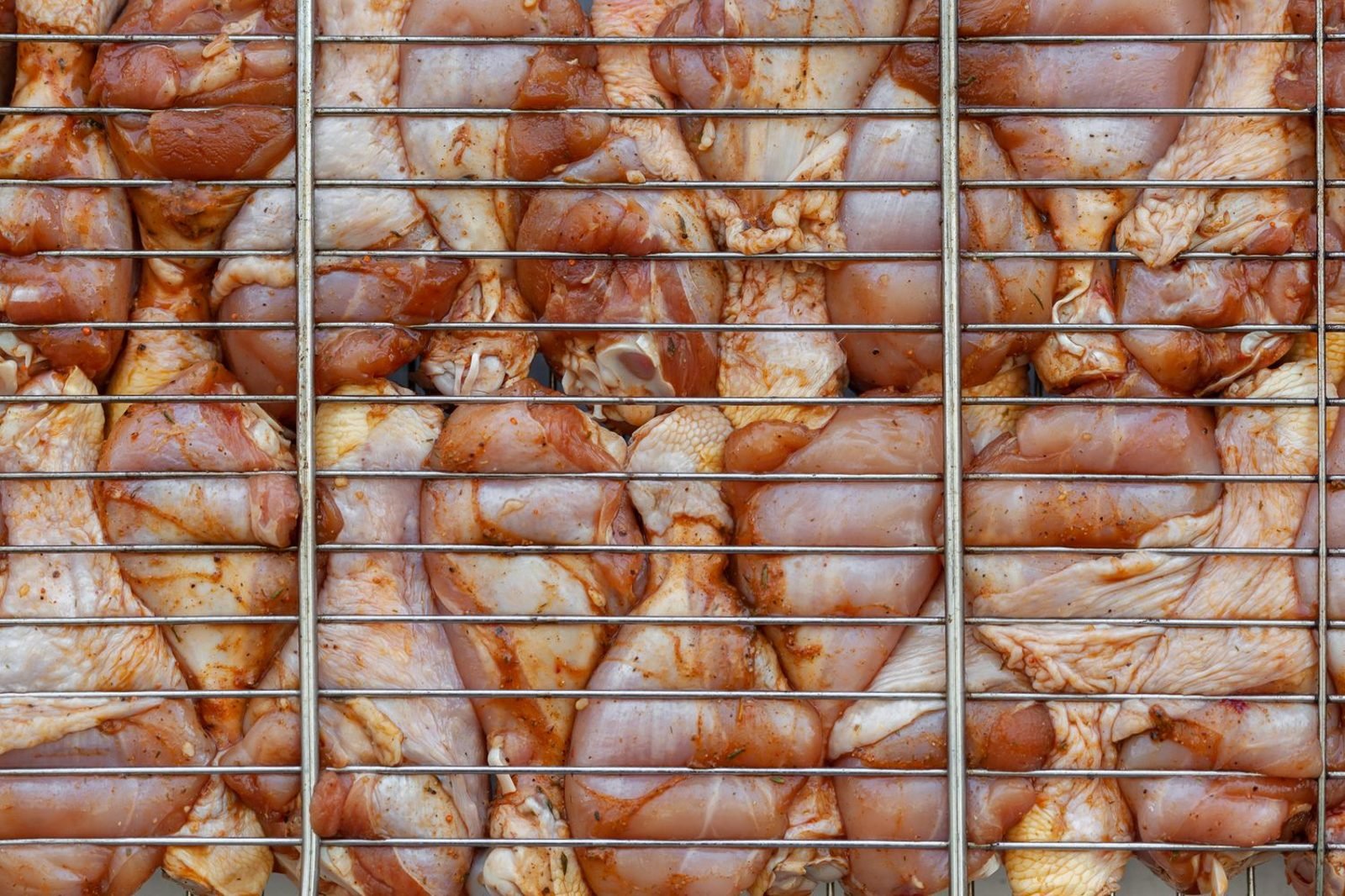 Grilled chicken and fish fillets as high protein non-vegetarian food sources