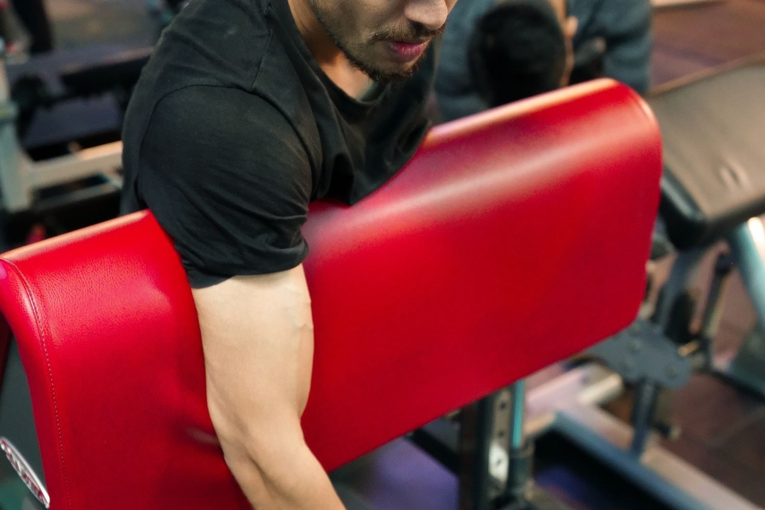 Person performing a preacher curl on an angled preacher bench in the gym