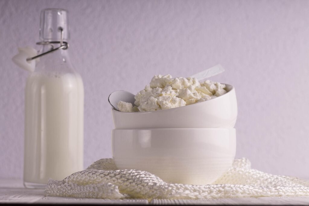 Paneer cubes as a vegetarian source on a high protein diet for weight loss